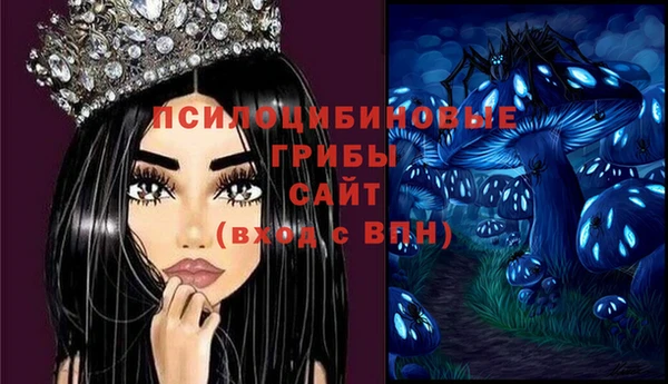 меф Гусь-Хрустальный