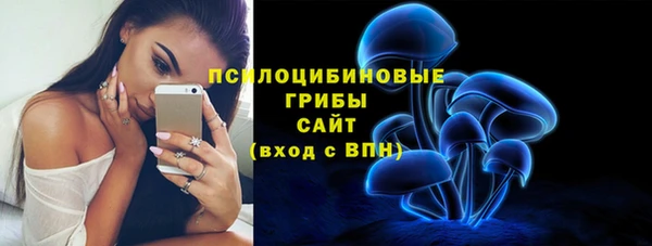 МДПВ Белокуриха
