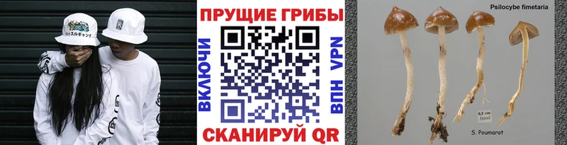 Галлюциногенные грибы Magic Shrooms  Лыткарино 